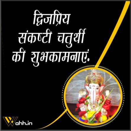 Dwijapriya Sankashti Chaturthi Wishes