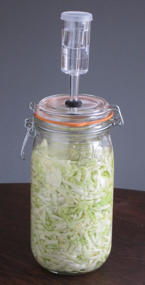 Mason jar airlock