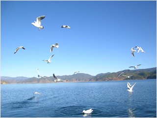Qinghai Lake.