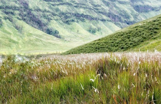 Padang Savana Gunung Bromo Surabaya