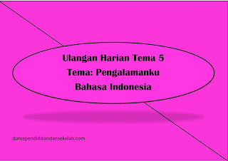 CONTOH ULANGAN HARIAN TEMA 5 KELAS 2 PENGALAMANKU BAHASA INDONESIA