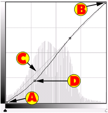 Curve Points