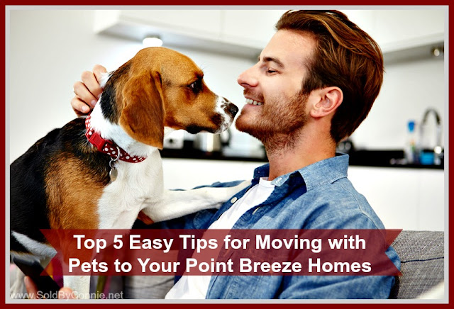 Here are 5 things to remember when moving to your new Point Breeze home for sale in Pittsburgh with your pets.