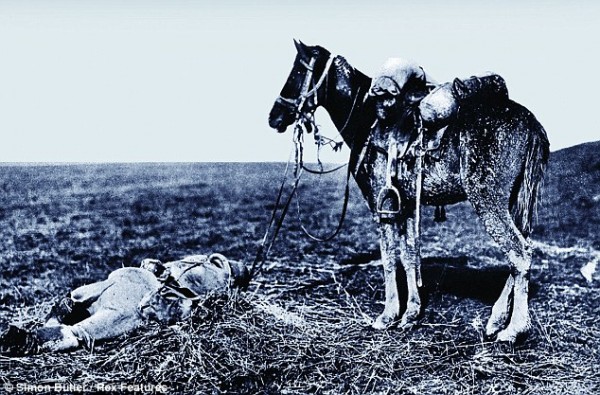 Emotional Pictures Of Soldiers Saying 'Goodbye' To Their Sacrificed Horses During The First World War