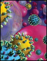 HIV & MPV co-infection