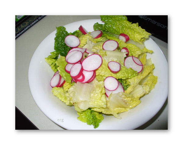 romaine lettuce salad. and Romaine Lettuce Salad