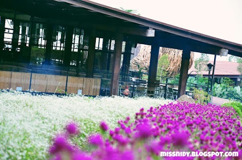 A Short Visit to Dusun Bambu