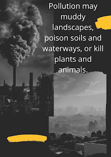 pollution-Effects-of-Pollution-sources-of-pollution-muddy-landscape-poison-soil-waterways-kills-plant-and-animals