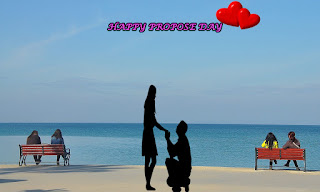 free download 2017 top best happy valentines day happy propose day images hd dp wallpapers gifts romantic pictures pics photos with quotes shayari poems messages for facebook fb whatsapp husband wife lovers couples boyfriend girlfriend