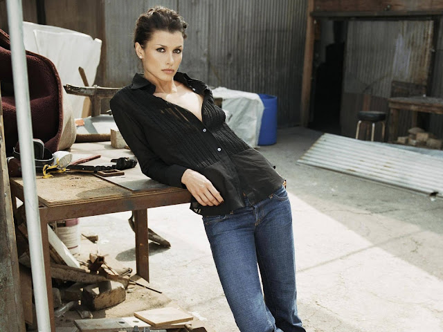 Bridget Moynahan