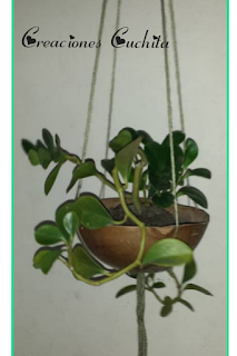 plantas-materos-colgantes-caseros-para-decorar-el-jardin