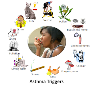 Things that make asthma worsen are pollens present in fruits and grass, air fresheners, pet animals' furs,paints, spices, smoke of woods etc.