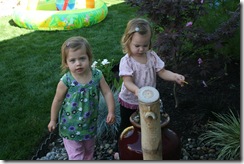 Picture 069