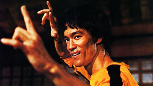 Bruce Lee El Juego de la Muerte 1978 online latino flv