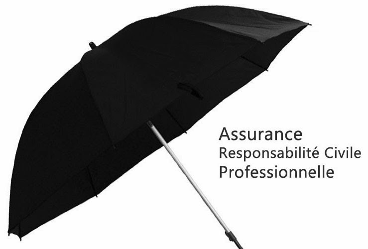 assurance responsabilité civile professionnelle