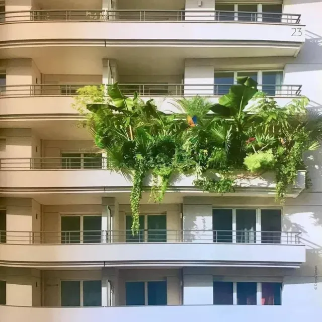apartamento lotado de plantas