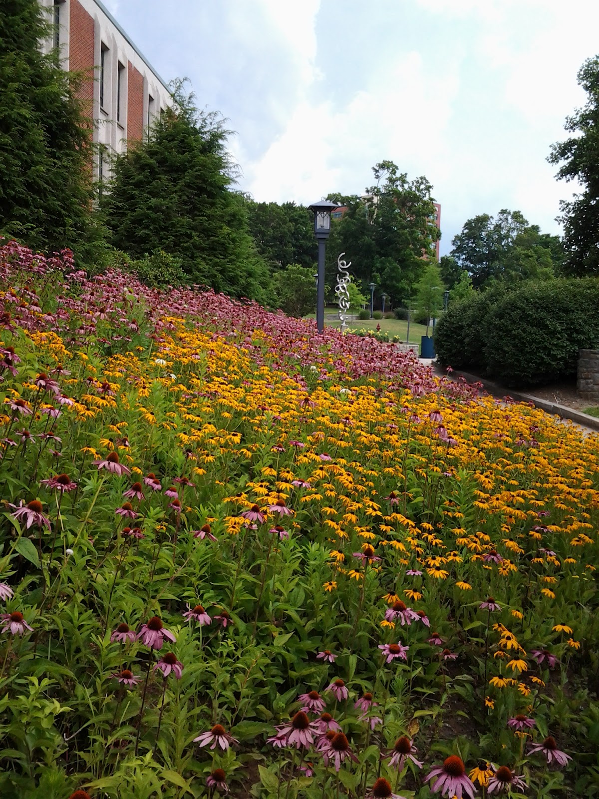 Boone Landscaping