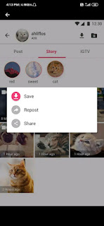 Save Story for instagram