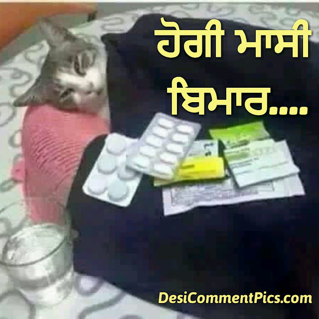desi comment Punjabi image for whatsapp