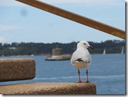 FortDenison