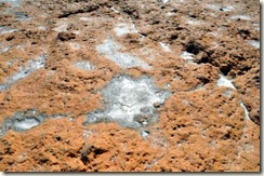 salty pothole