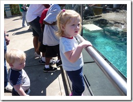 zoo 006
