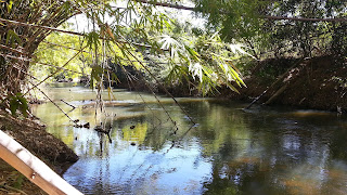 Rio Pirapitinga