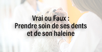  Vrai ou Faux : Prendre soin de ses dents et de son haleine