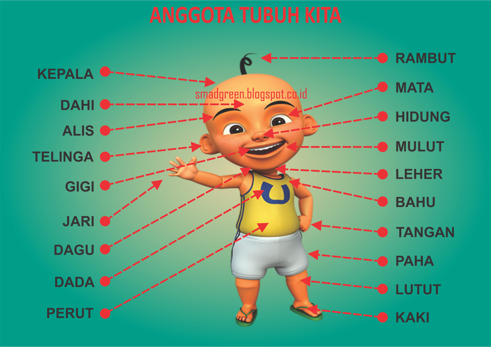 Contoh Gambar Atau Alat Peraga Pengenalan Gambar Anggota 