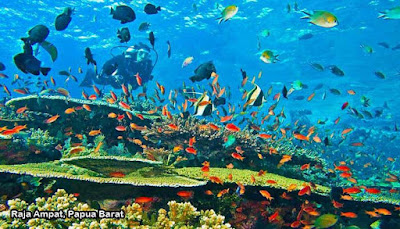 Raja Ampat, Papua Barat