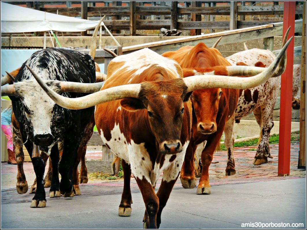 Viaje a Texas