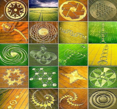 2012crop circles mayan connection. Crop circles are complex and