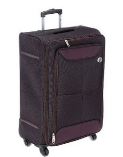 American Tourister Konnect Polyester Purple Soft Sided Suitcase