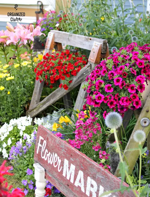 The Front Yard Flower Border 2012-2020