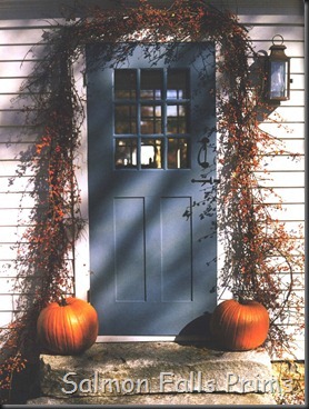 nice door