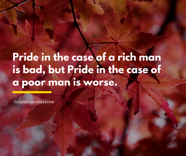 Pride in the case of a rich man is bad,  but pride in the case of a poor man is worse.  -Abu Bakr