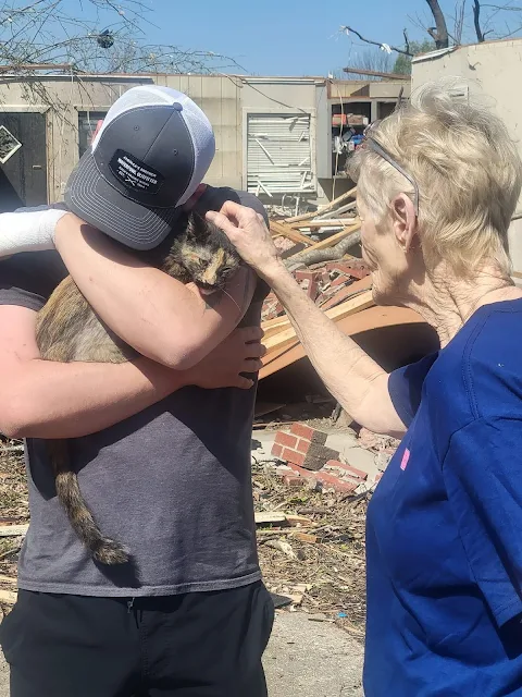 Amory, Mississippi after tornado: cat found sitting in middle of destroyed home resident