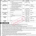 Ministry of Energy Petroleum Division  Jobs Career 2024