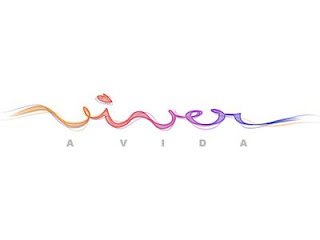 Viver a vida novela da globo