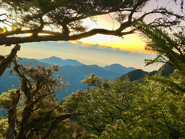 往太魯閣大山