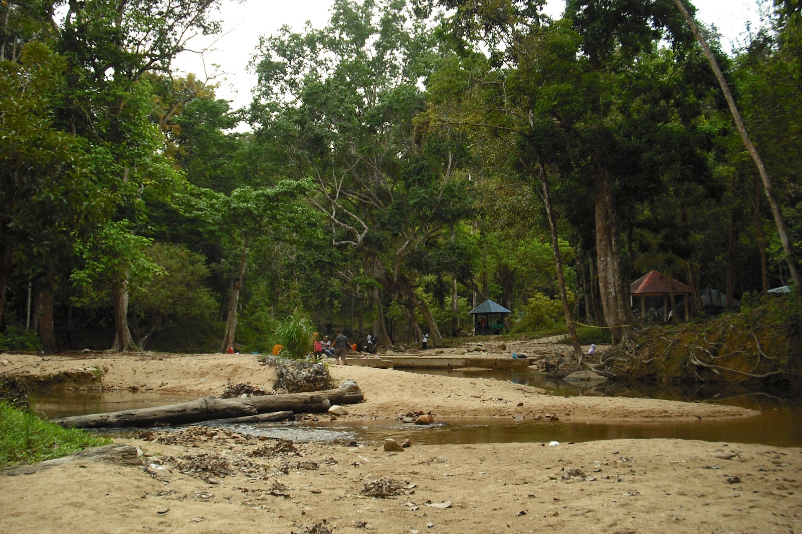 Jendela Alam: Hutan Lipur Bukit Bakar (Machang)