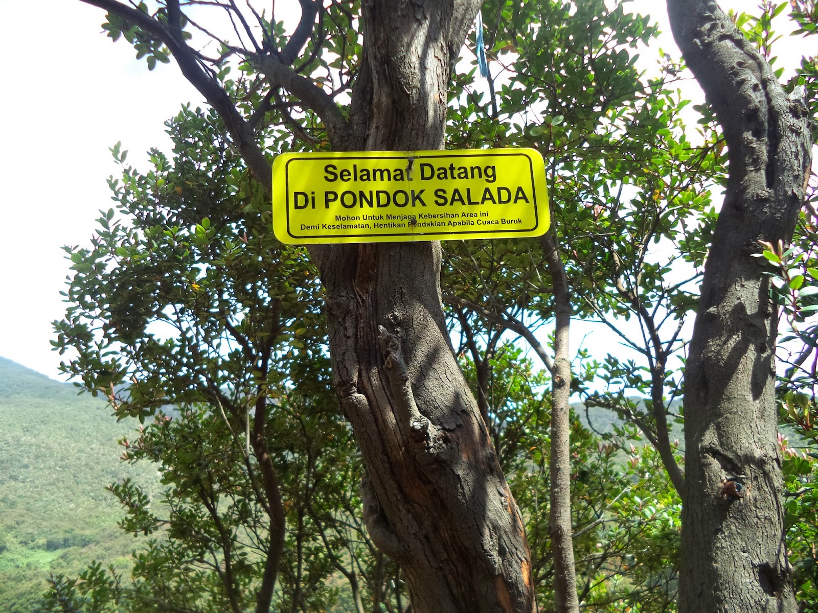 Fun Hiking Papandayan 2622 MDPL (Pengembaraan 2 BRMG)