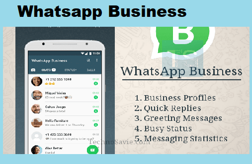 Whatsapp Business Apk Latest v2.21.5.6 Free Download For Android