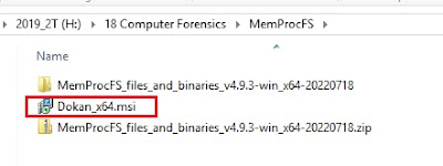 Digital Forensics:The Memory Process File System (MemProcFS)