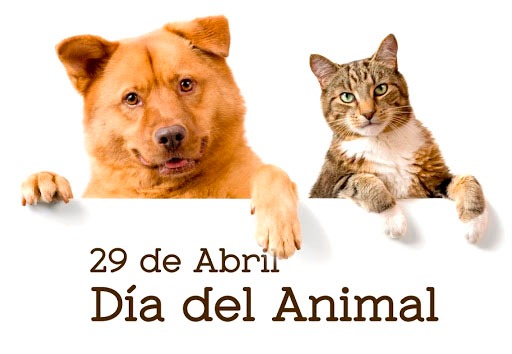 "Día del animal"