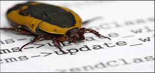Bug summary will help developers to quickly analyze the bug nature.
