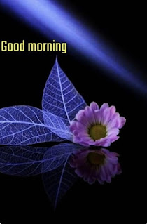 Image of Today special Good Morning Images ,  Today special Good Morning Images,  Image of Good Morning Images Hindi ,  Good Morning Images Hindi ,  Image of Good Morning Images with Quotes,  Good Morning Images with Quotes,  Image of Good Morning Images new,  Good Morning Images new,  Image of Good Morning Images God,  Good Morning Images God,  Image of Good Morning Images HD,  Good Morning Images HD,  Image of Good Morning Images with Quotes for Whatsapp,  Good Morning Images with Quotes for Whatsapp,  Image of Good Morning Image Love,  Good Morning Image Love ,