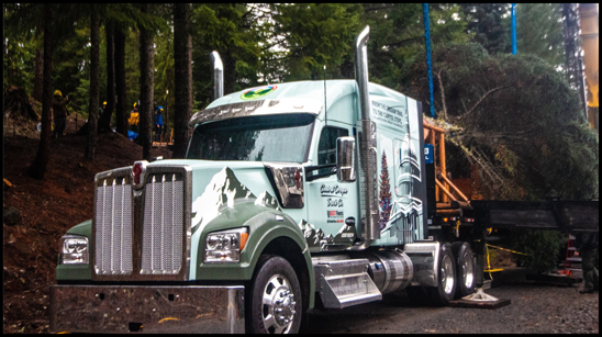 Kenworth W990 hauling the U.S. Capitol Christmas Tree