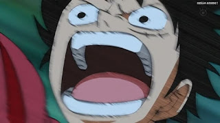 ワンピースアニメ パンクハザード編 607話 ルフィ かっこいい Monkey D. Luffy | ONE PIECE Episode 607