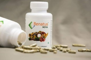 Renatus Wellness Company  Product | Renatus Nova and its  ingredients